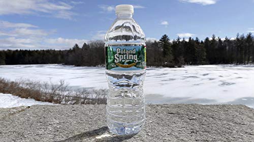 Poland Spring 100% Natural Spring Water, 16.9 Bottle (Pack of 10, Total of 169 Fl Oz)